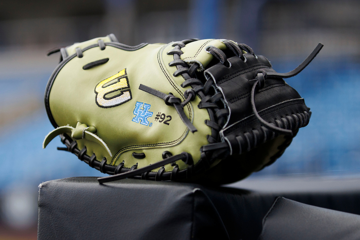 Bat Cats Insider: What areas will UK address in the portal?